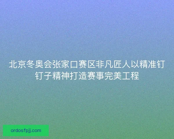 北京冬奥会张家口赛区非凡匠人以精准钉钉子精神打造赛事完美工程